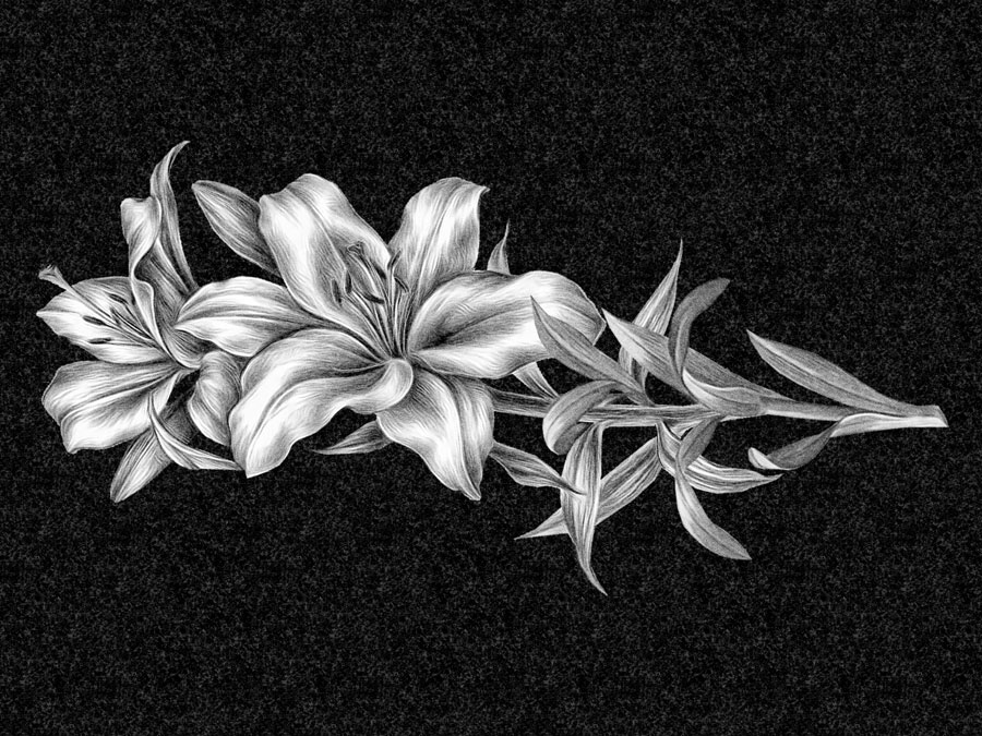 Цветы | Рисунок лилии, ЦВ-013